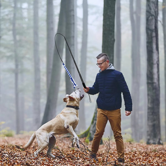 Retractable Dog Interactive Stick Toys Extendable Flirt Pole Funny Chasing Tail Teaser and Exerciser for Pets Dogs Toy Pet Toy