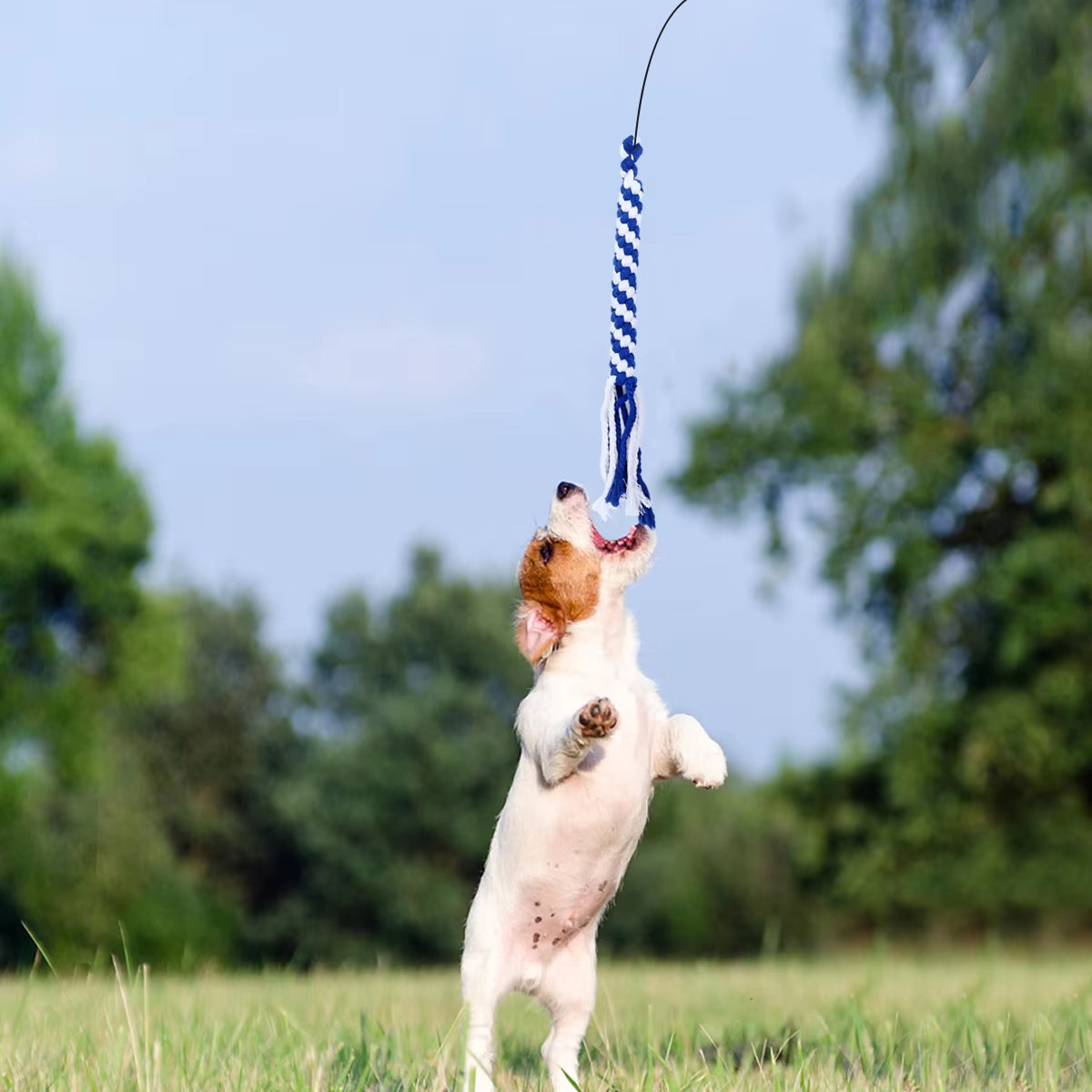 Retractable Dog Interactive Stick Toys Extendable Flirt Pole Funny Chasing Tail Teaser and Exerciser for Pets Dogs Toy Pet Toy